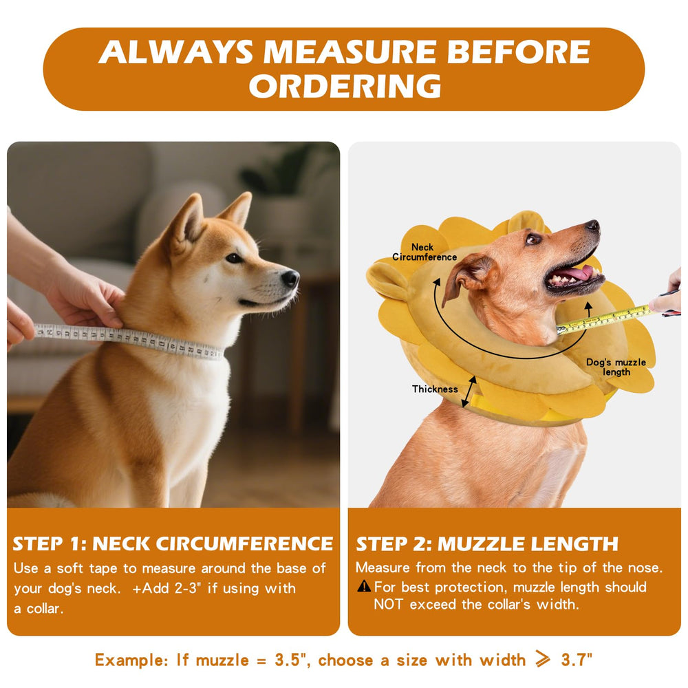 IEUUMLER collier utilisé sur chien facilitant repas et mobilité