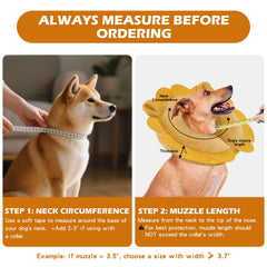 IEUUMLER collier utilisé sur chien facilitant repas et mobilité