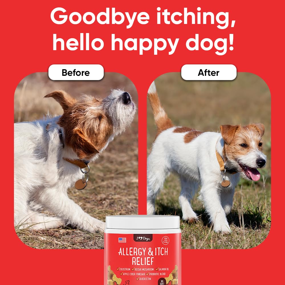 iHeartDogs chien acceptant comprimé montrant appétence et confort