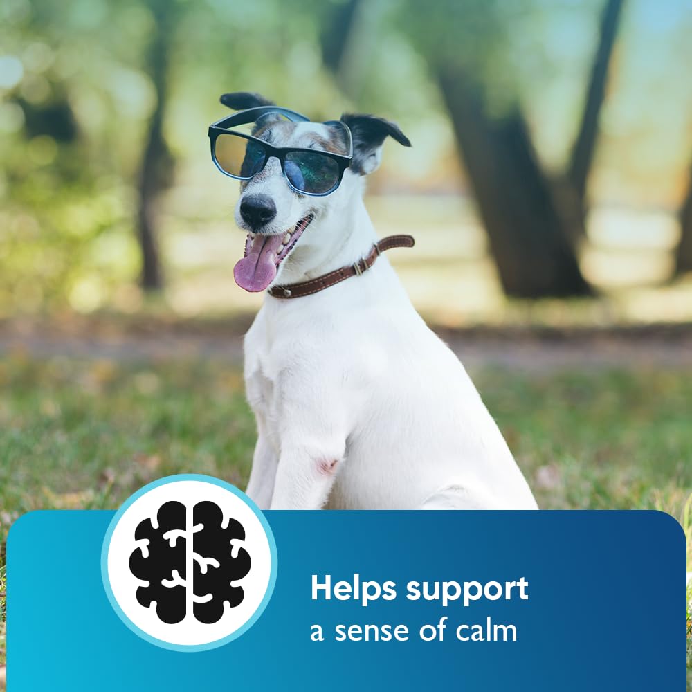 iHeartDogs comparaison taille dans une main pour dosage pratique