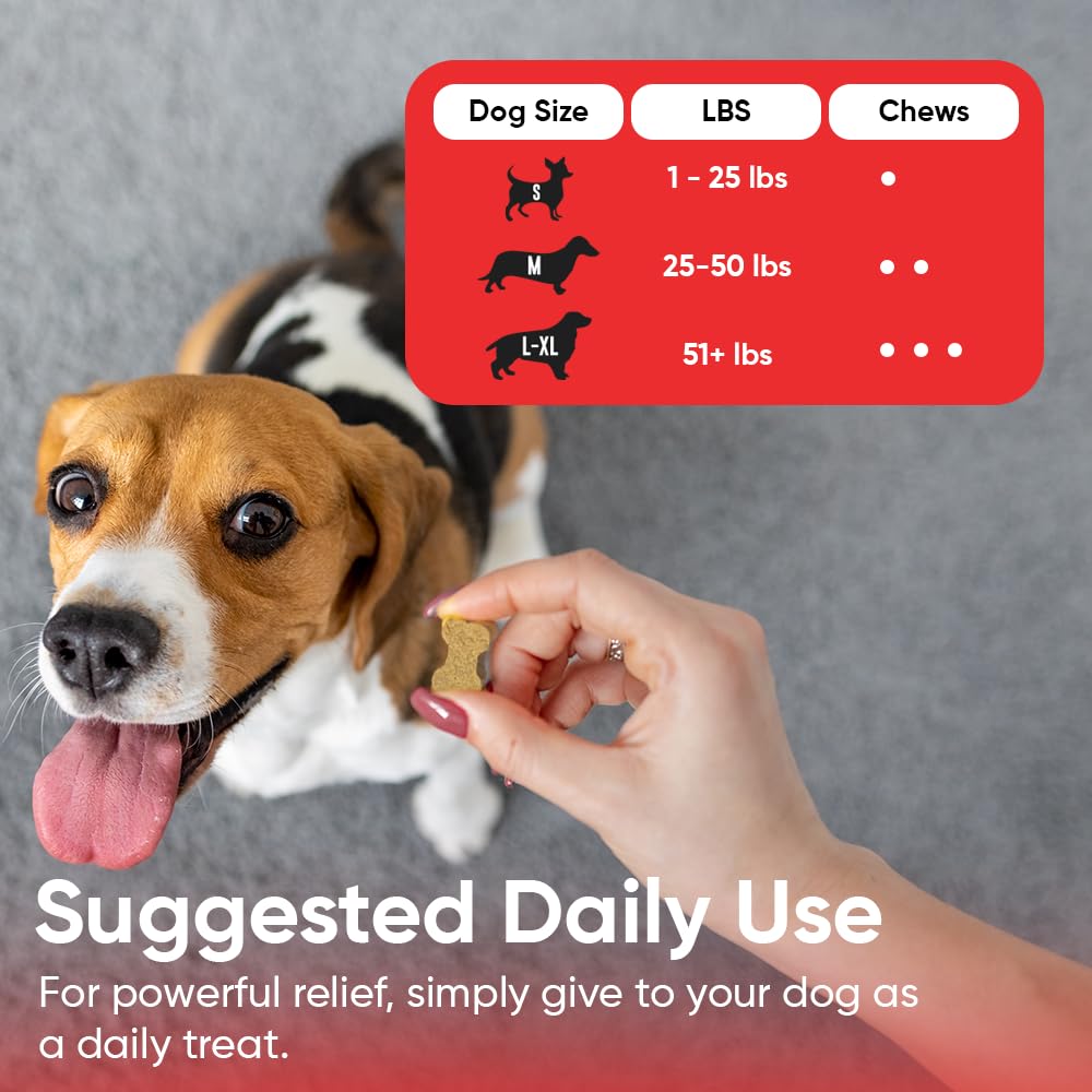 iHeartDogs comprimé à l’échelle d’une main pour visualiser taille pratique