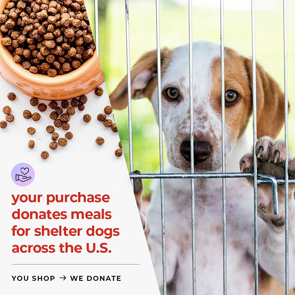iHeartDogs produit posé en cuisine démontrant usage quotidien pratique
