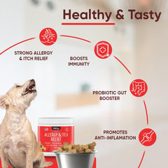 iHeartDogs image suggestive de probiotiques pour soutien digestif