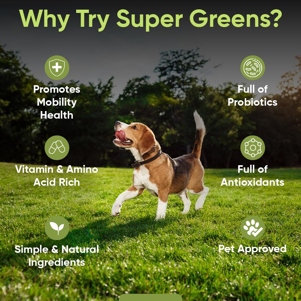 iHeartDogs gros plan germes de brocoli illustrant sulforaphane naturel
