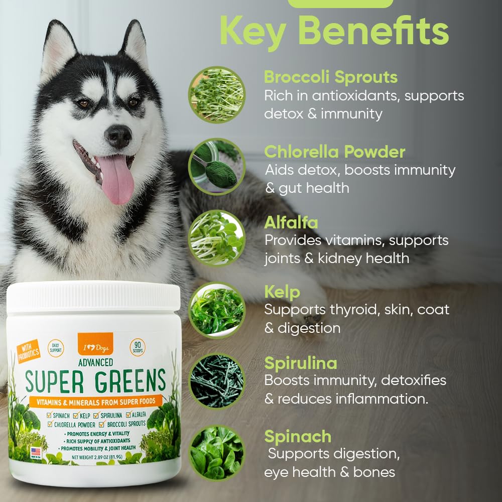 iHeartDogs poudre super greens texture fine bénéfice mélange facile