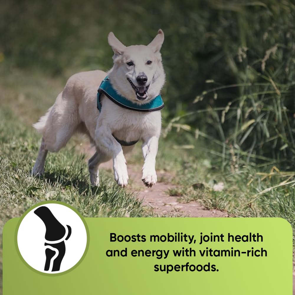 iHeartDogs spiruline poudre concentrée énergie et nutriments