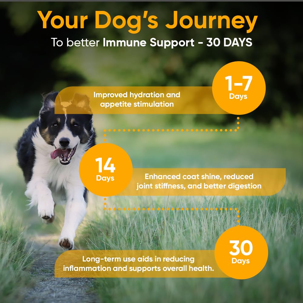 iHeartDogs gros plan sur la poudre illustrant texture et qualité