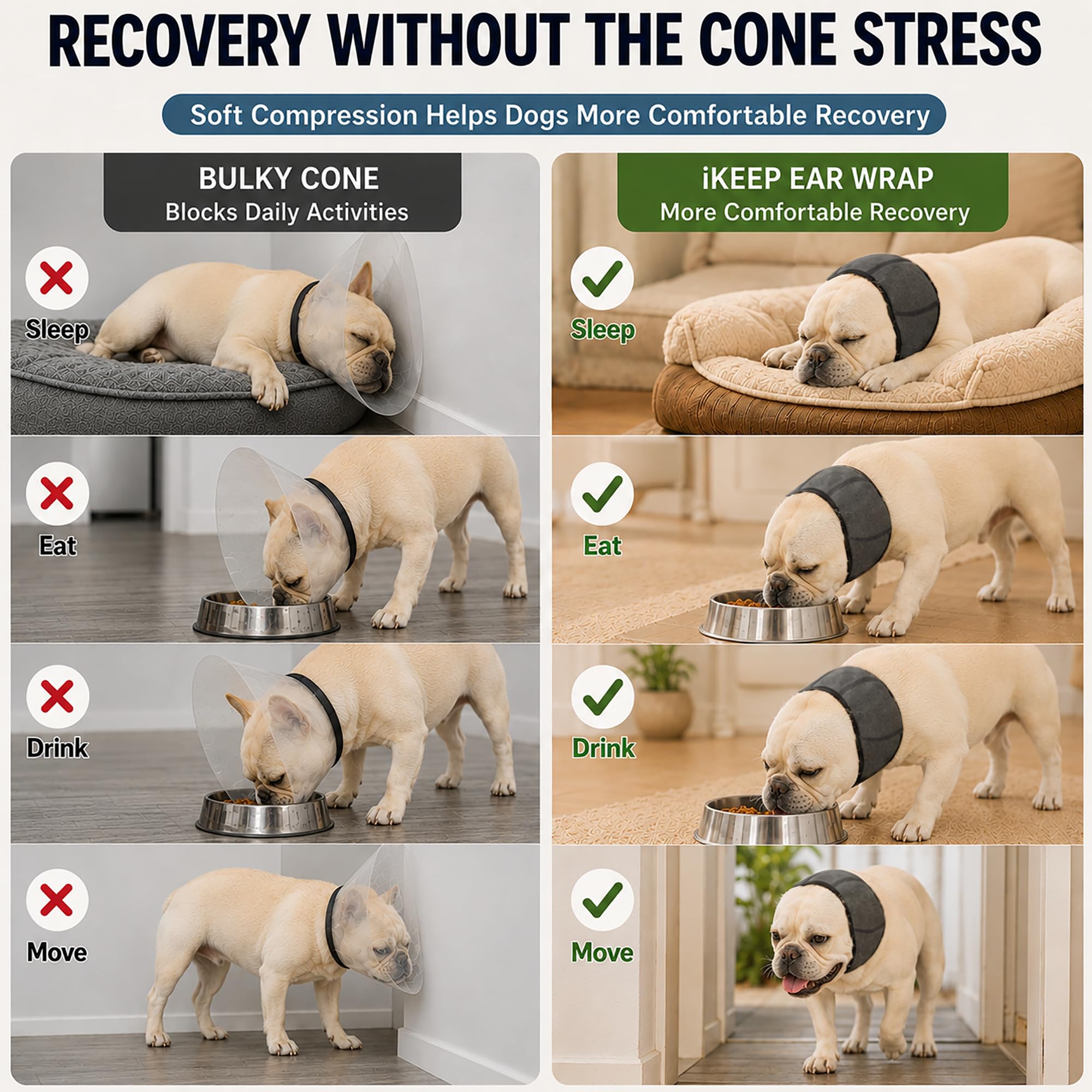 iKeep en usage sur chien stabilisant l'oreille pendant convalescence