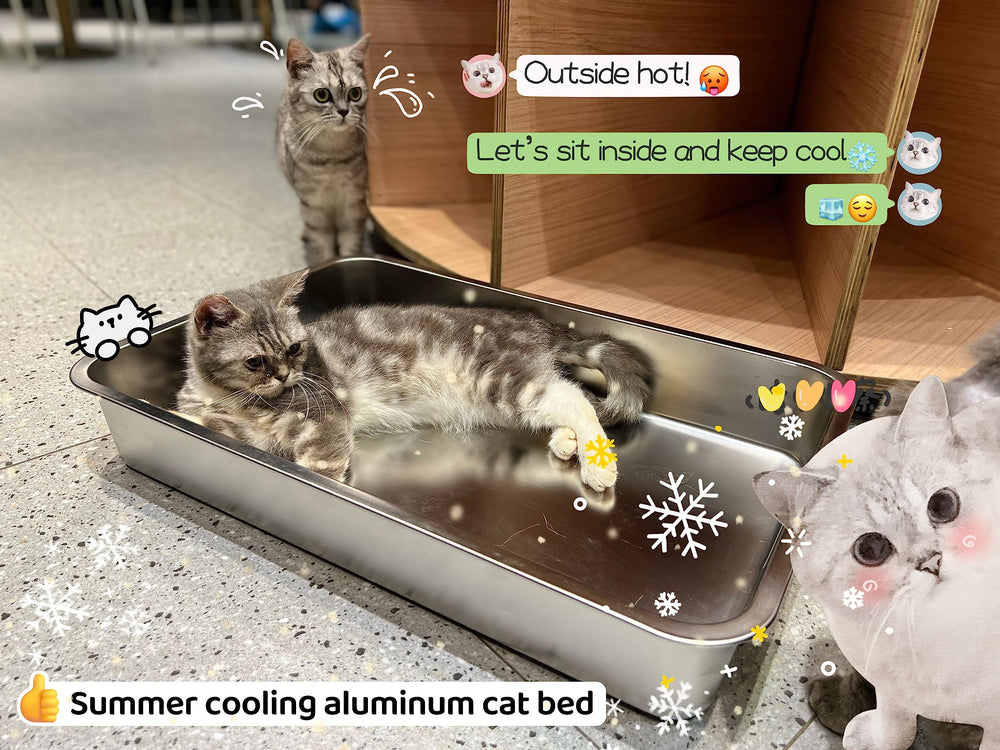 ikitchen bac en usage par chat senior facilitant entrée et sortie