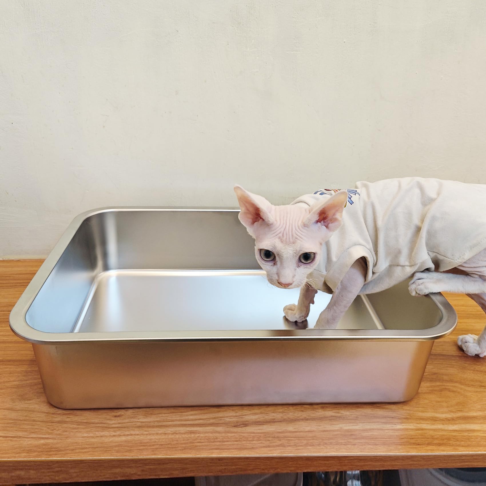ikitchen gros plan coin arrondi sécurise les mains et animaux