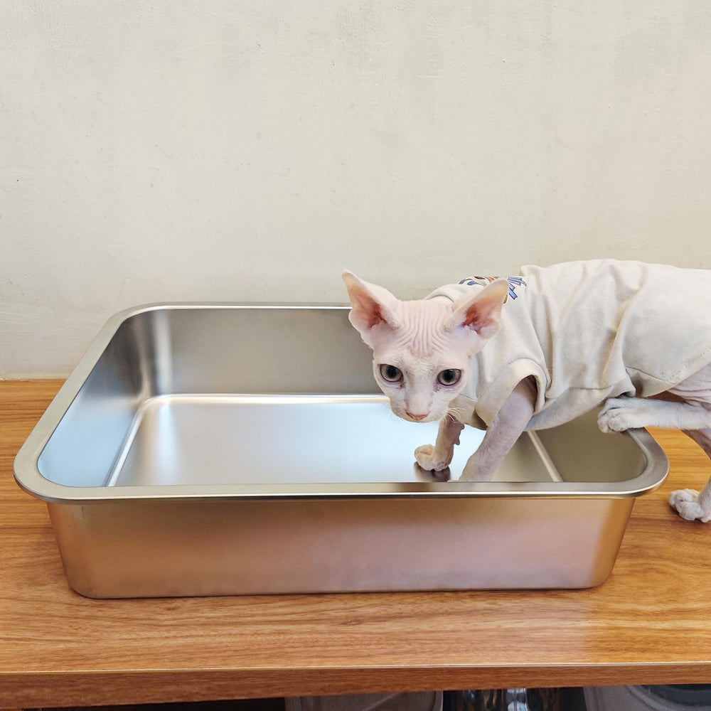 ikitchen gros plan coin arrondi sécurise les mains et animaux