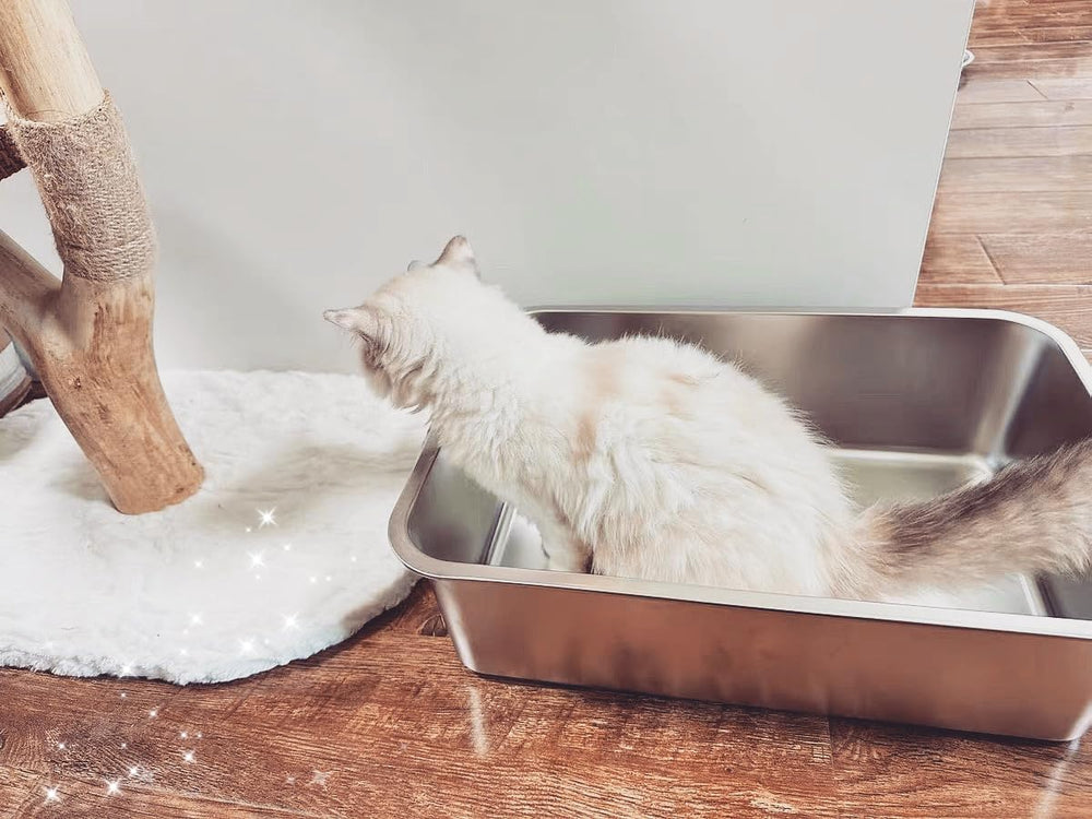 ikitchen pieds en caoutchouc antidérapants protégeant le sol et stabilisant