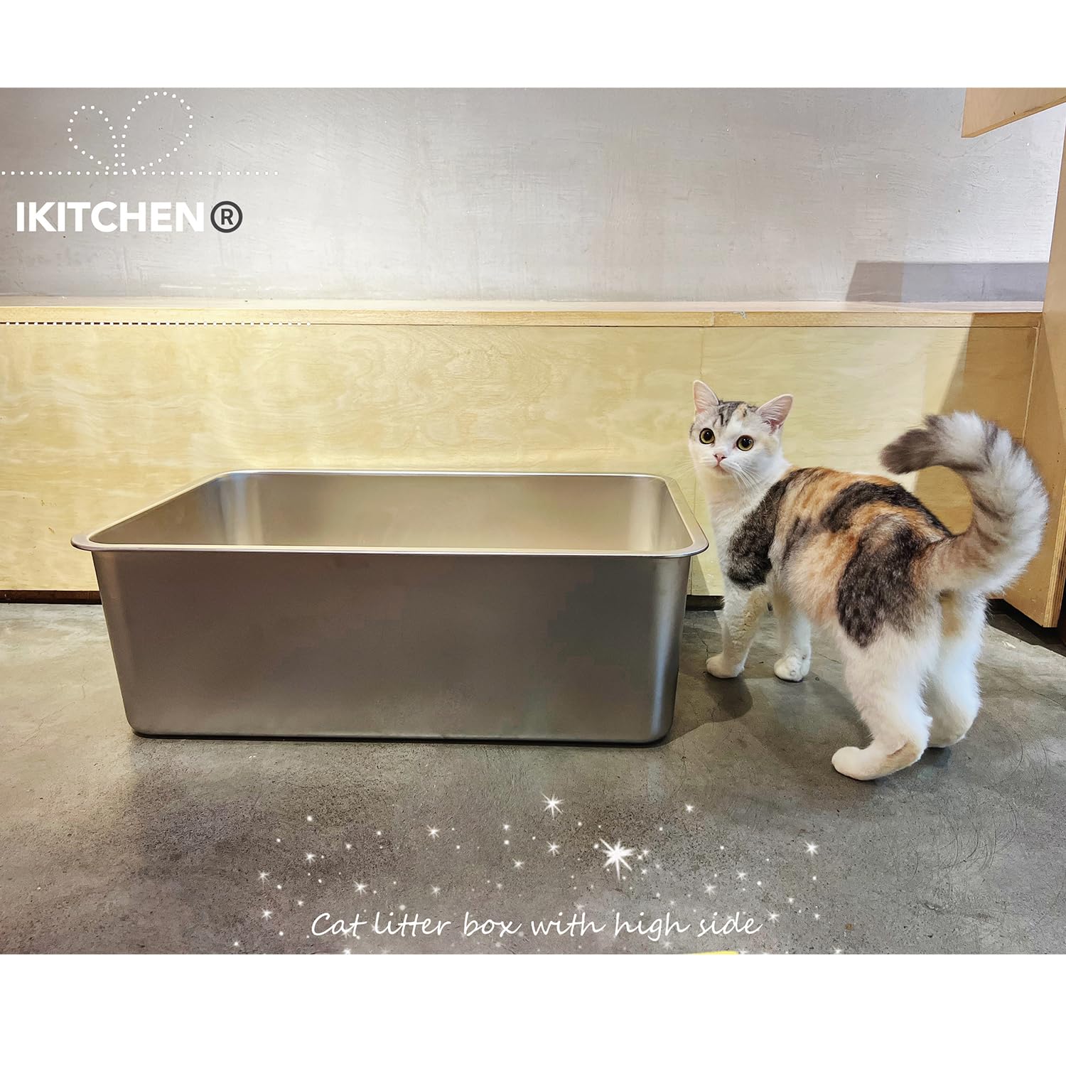 ikitchen comparaison taille avec chat montrant espace confortable