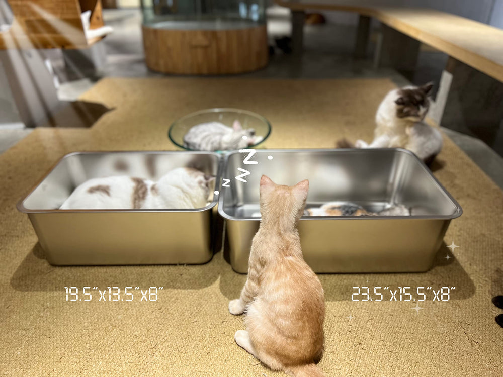 ikitchen mise en scène salle de bain pratique et élégante