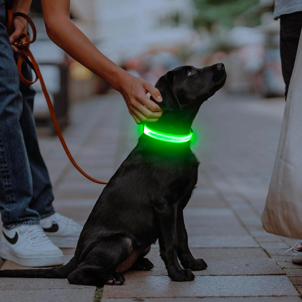 Illumifun collier comparaison taille réglable adapté morphologies