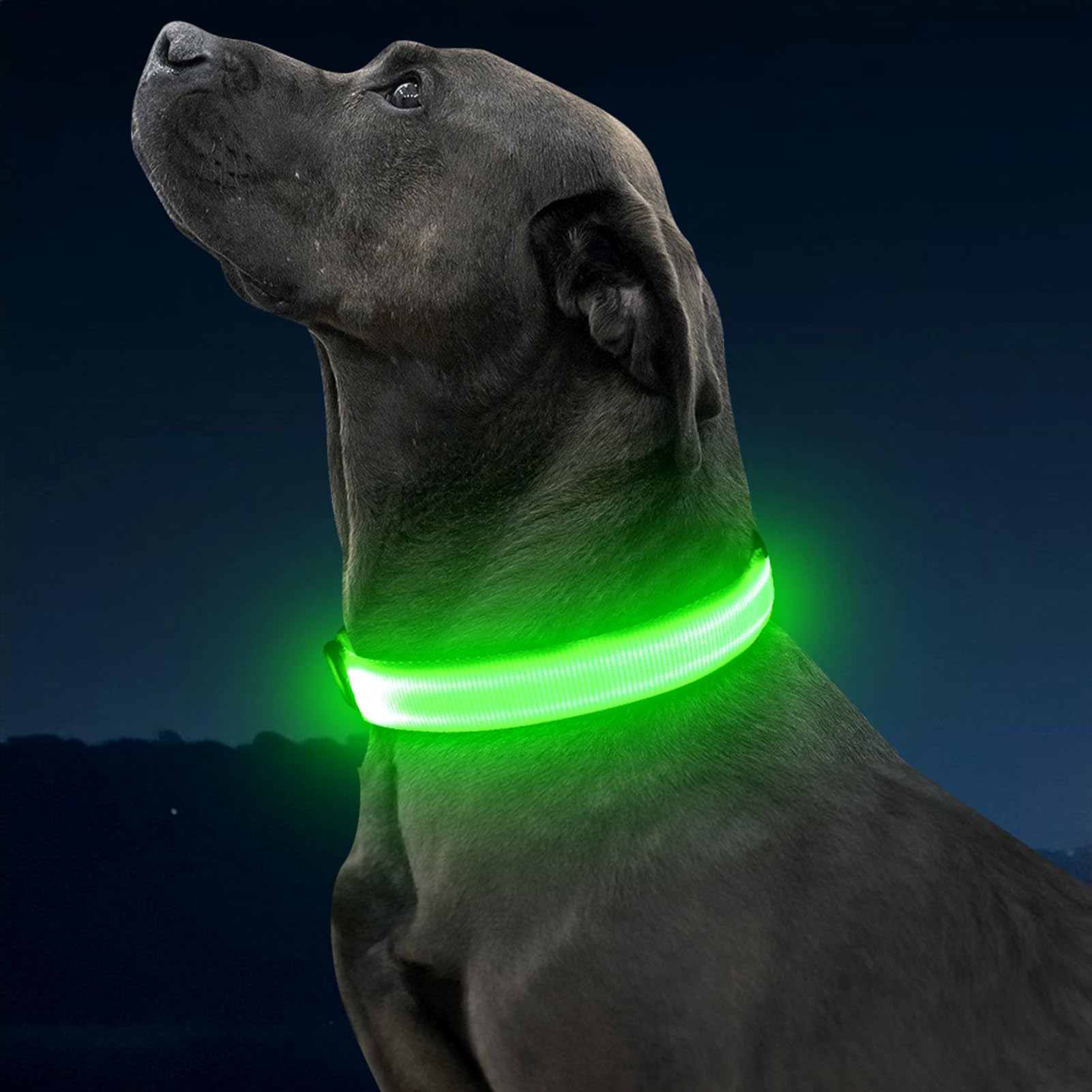 Illumifun collier posé en camping nocturne visibilité et tranquillité