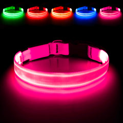 Illumifun collier face avant rose montrant visibilité et sécurité