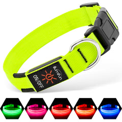 Illumifun collier LED face avant montrant visibilité accrue