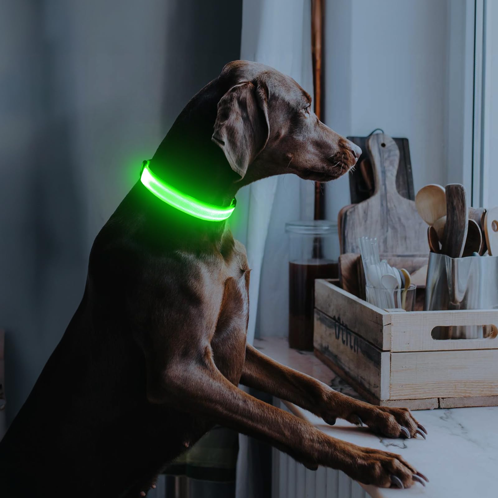 Illumifun collier port USB‑C en charge recharge rapide pratique