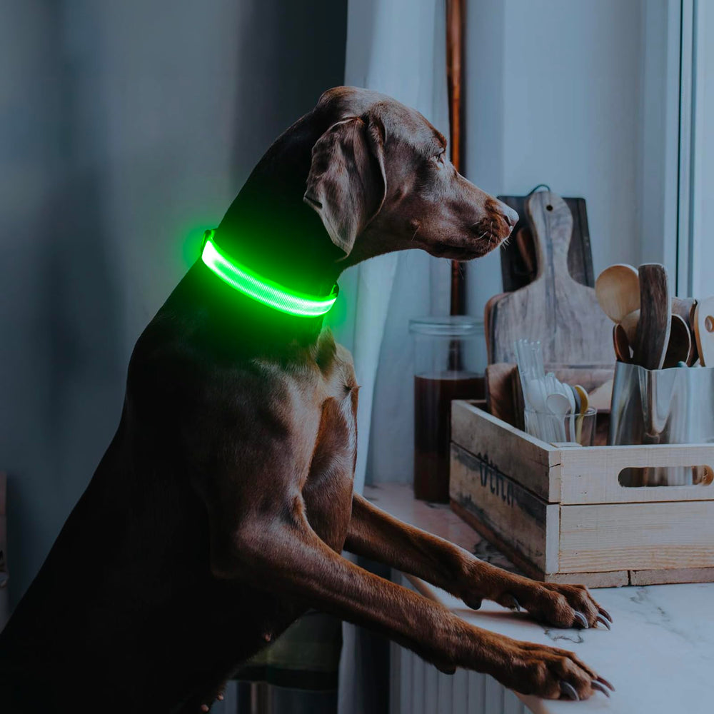 Illumifun collier port USB‑C en charge recharge rapide pratique