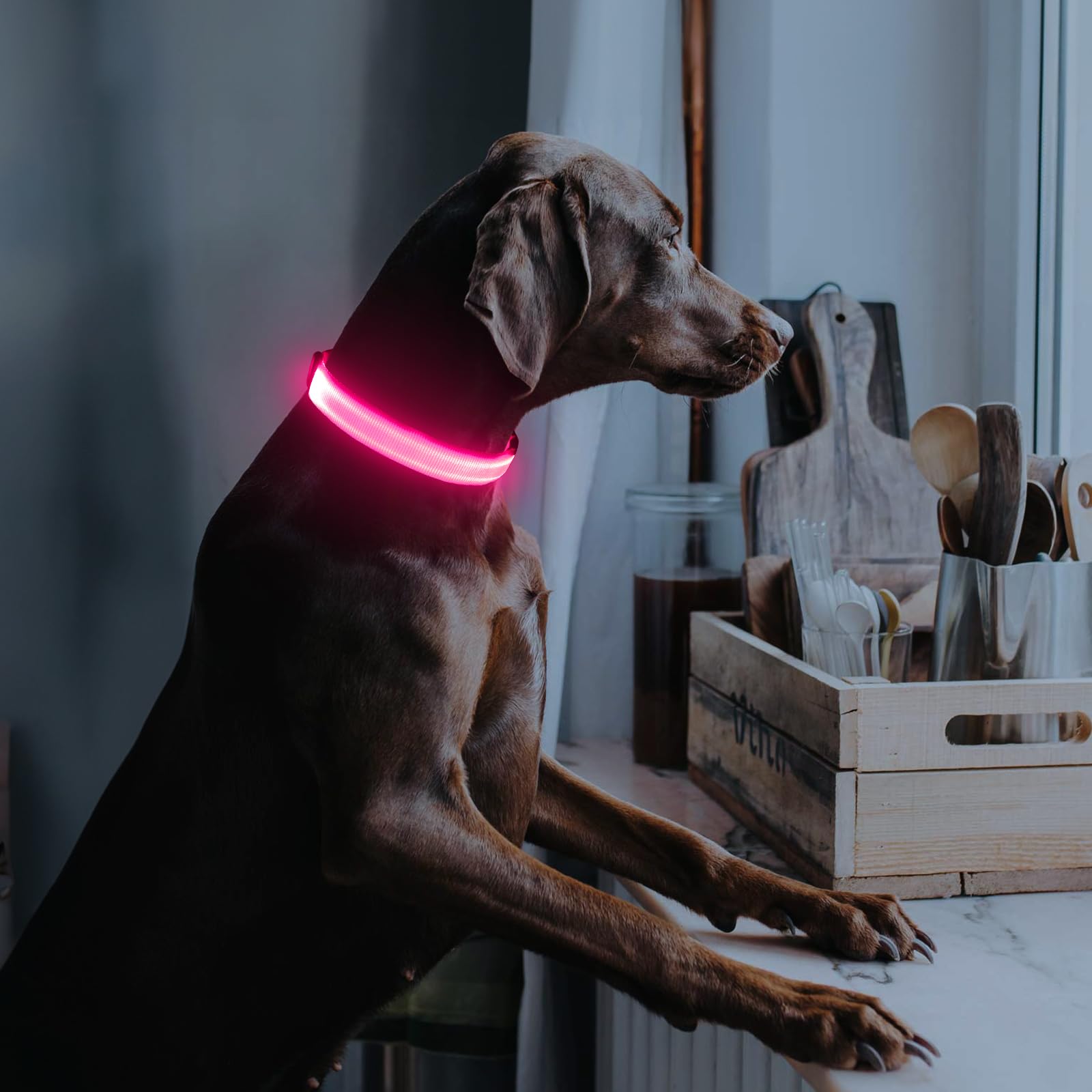 Illumifun emballage et câble USB inclus pour recharge pratique