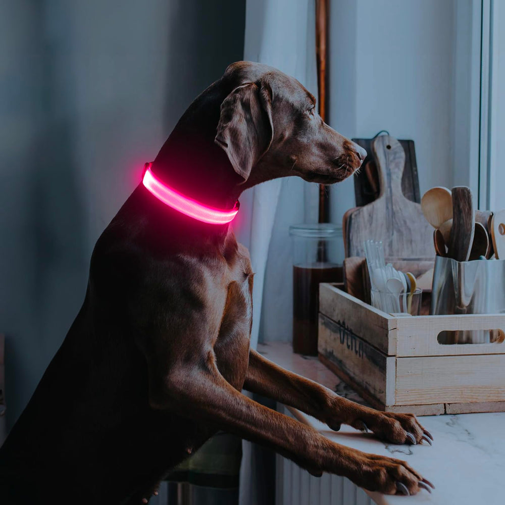 Illumifun emballage et câble USB inclus pour recharge pratique