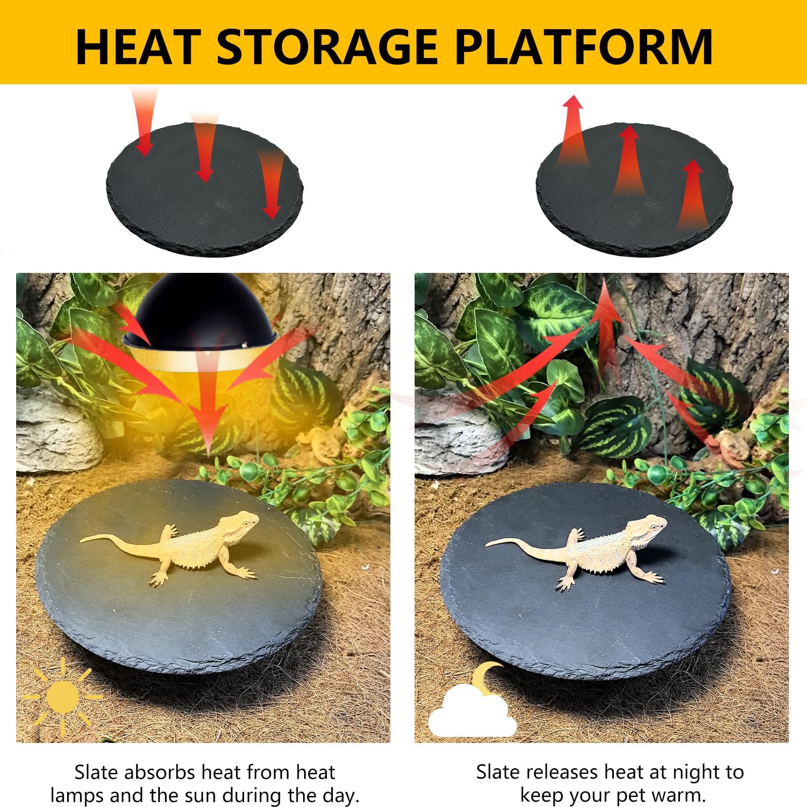 Tfwadmx plateau en pierre pour tortues et reptiles 7,8" – plaque chauffante, humidification lente et limage de griffes