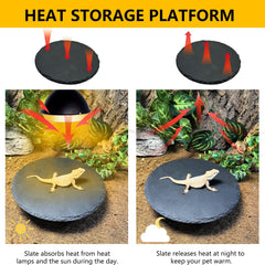 Tfwadmx plateau en pierre pour tortues et reptiles 7,8" – plaque chauffante, humidification lente et limage de griffes