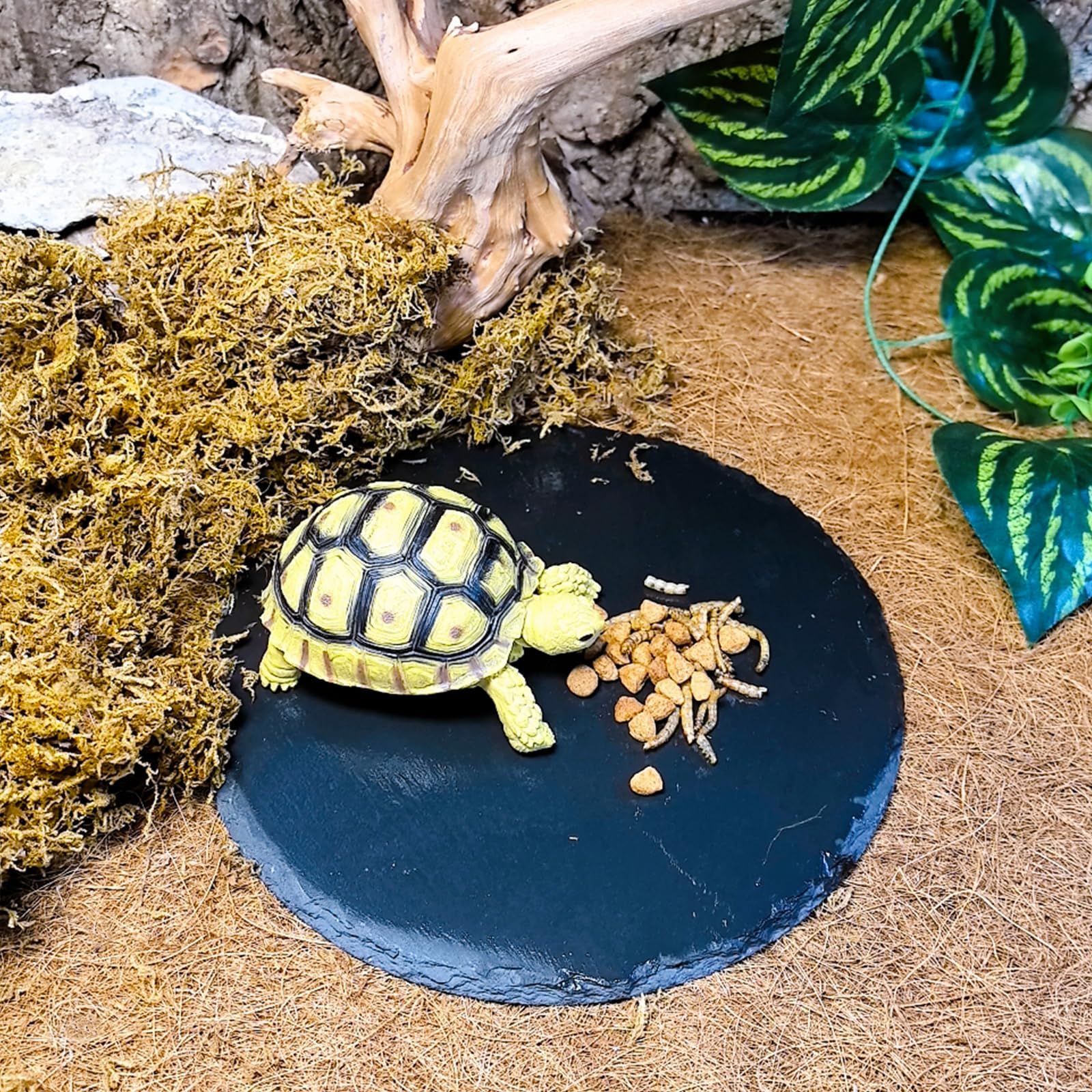 Tfwadmx plateau en pierre pour tortues et reptiles 7,8" – plaque chauffante, humidification lente et limage de griffes
