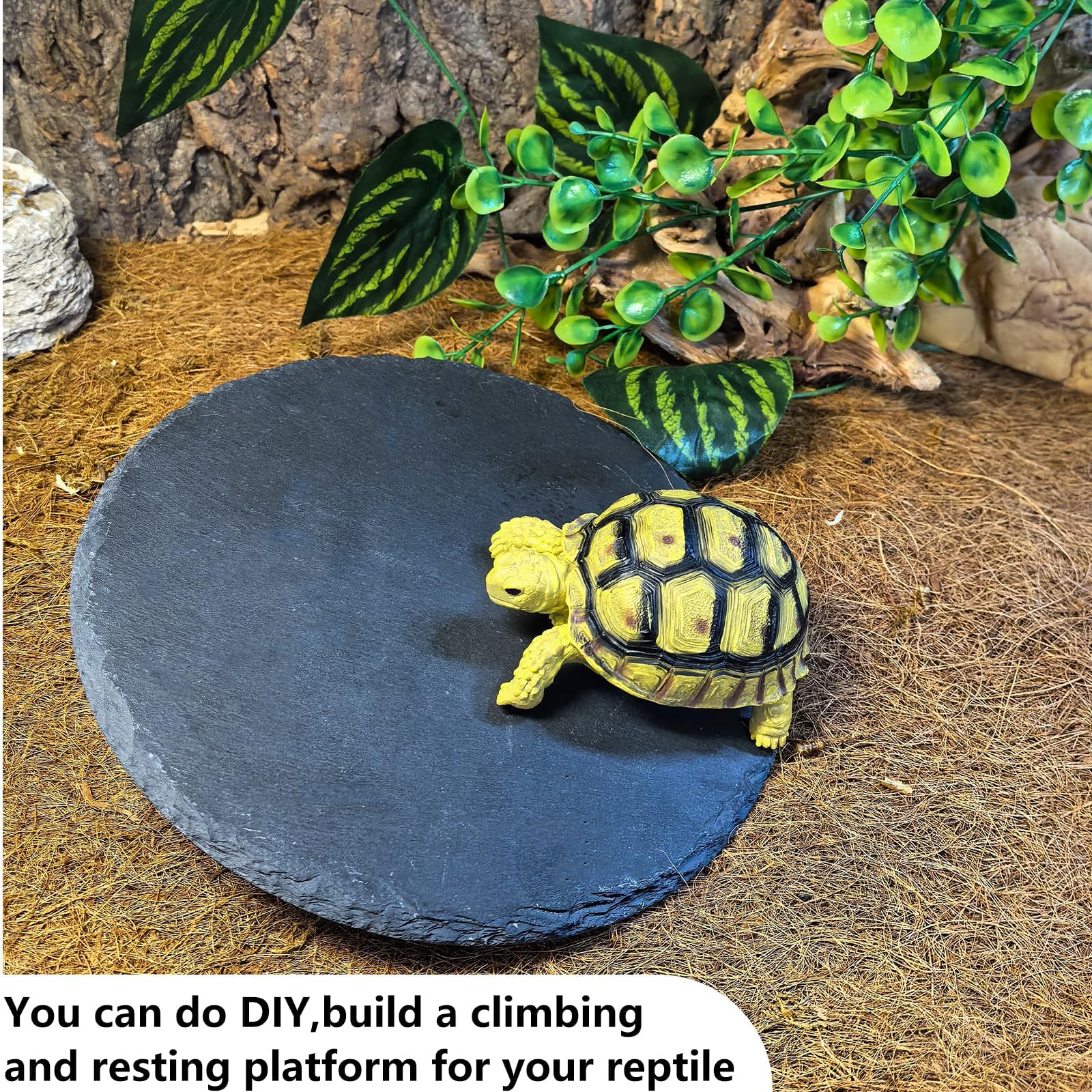 Tfwadmx plateau en pierre pour tortues et reptiles 7,8" – plaque chauffante, humidification lente et limage de griffes