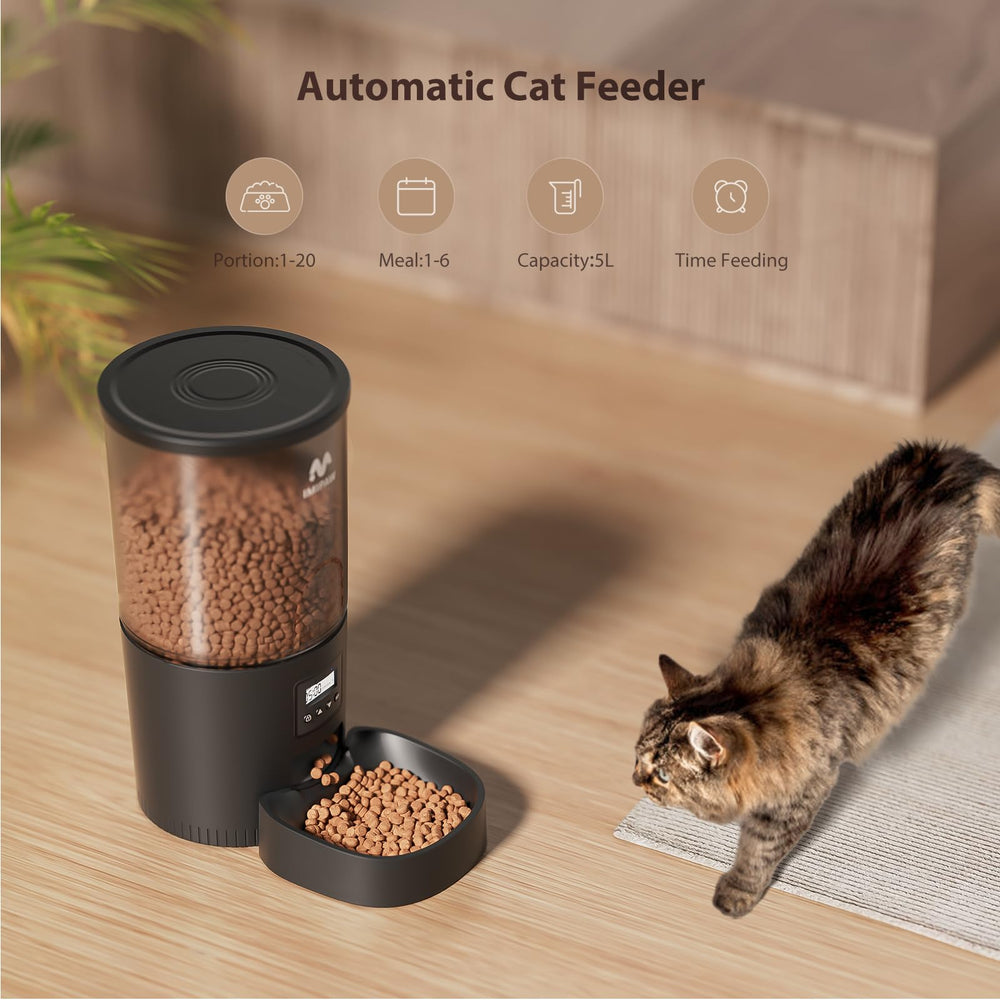 IMIPAW taille comparée à un chat illustrant encombrement réduit et stabilité