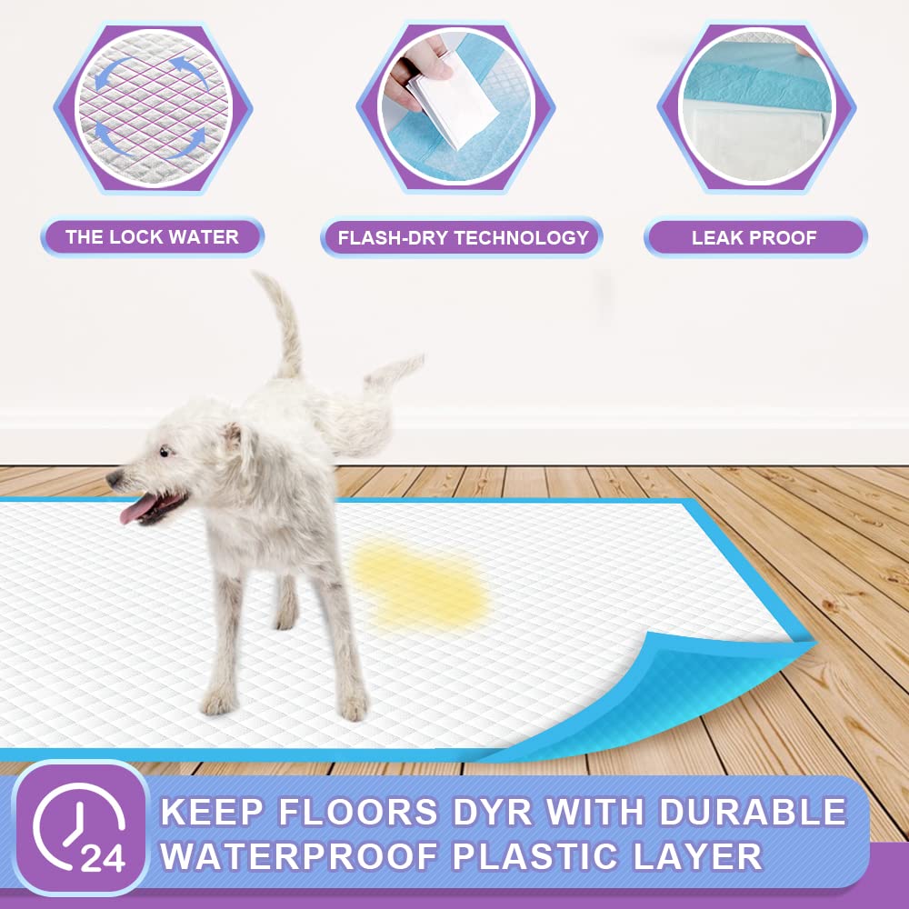 IMMCUTE bordure plastique anti-fuite protégeant sols et tapis efficacement