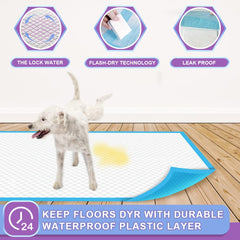 IMMCUTE bordure plastique anti-fuite protégeant sols et tapis efficacement
