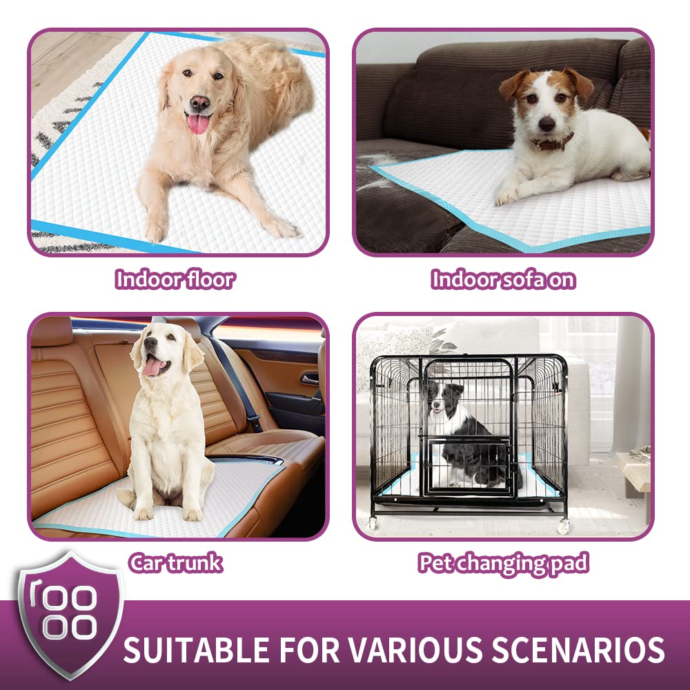 IMMCUTE tapis à côté d'un chien, surface extra large utile