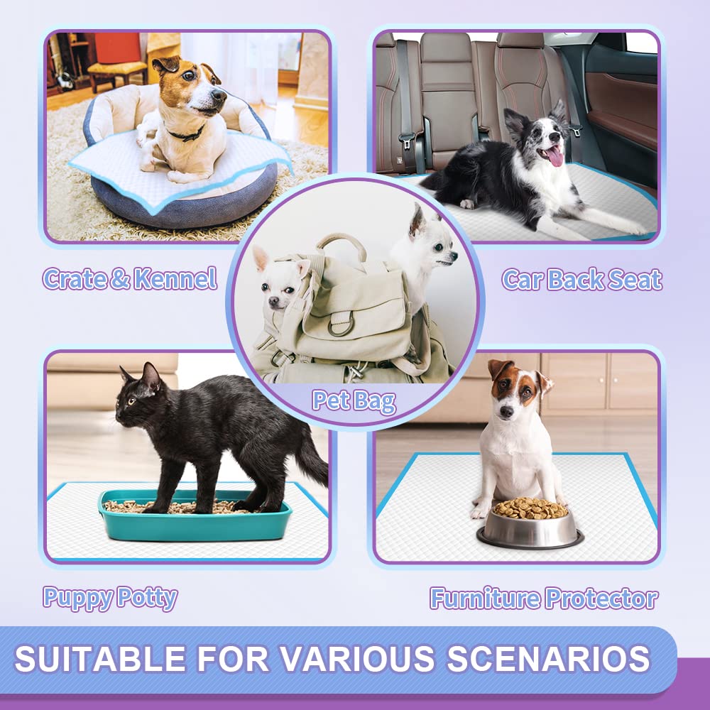 IMMCUTE comparaison taille montrant dimensions 22x23 pouces pour choix adapté