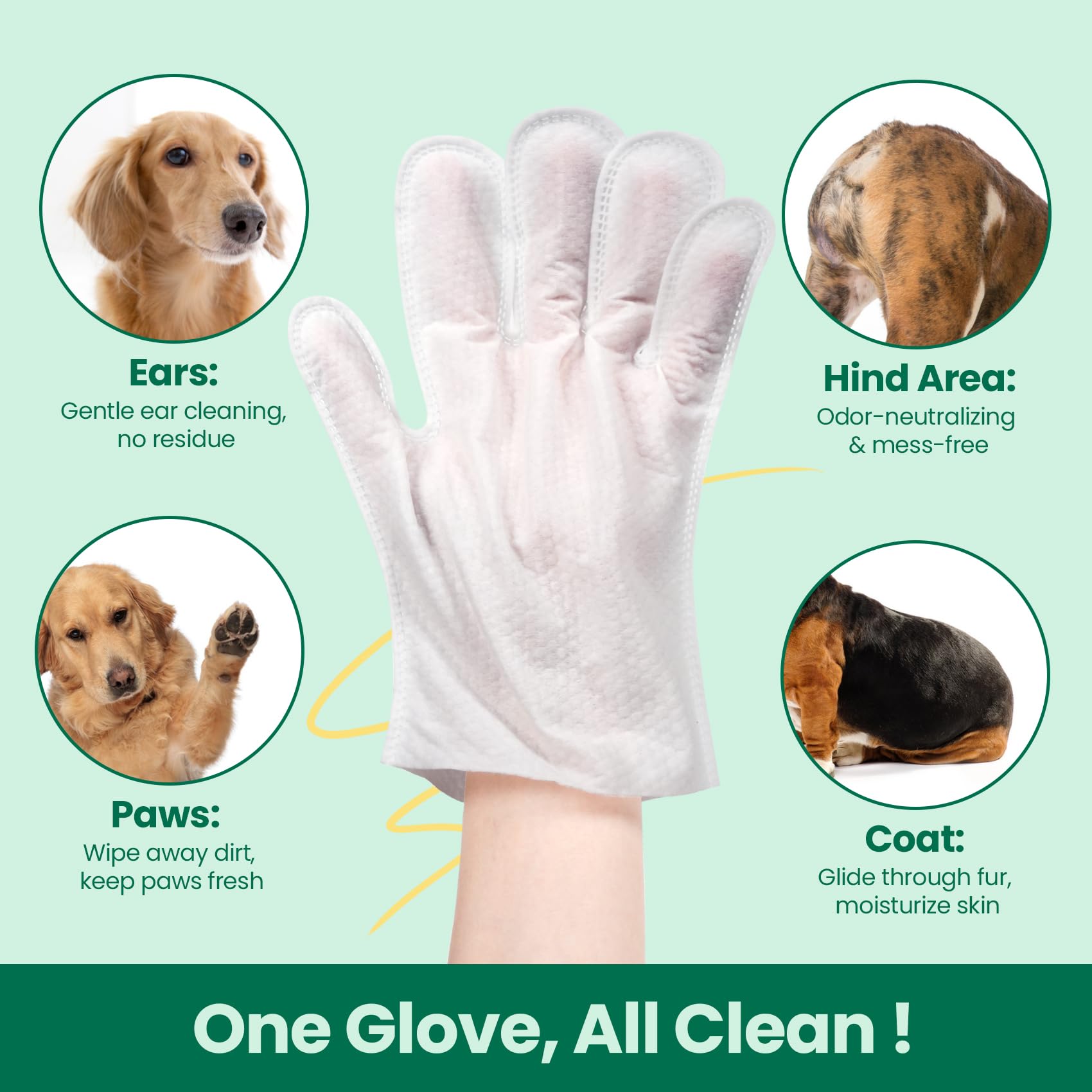 IMMCUTE comparaison de taille du gant, adapté à toutes tailles d'animaux