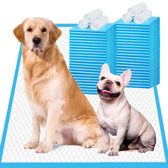 IMMCUTE emballage avant montrant 30 tapis, protection pratique