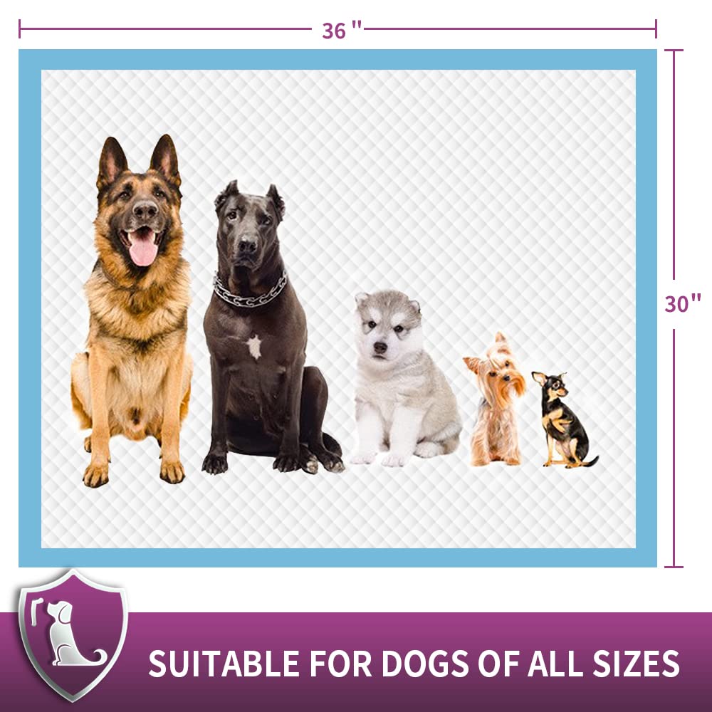 IMMCUTE tapis sur pelouse extérieure, protection pratique en sortie
