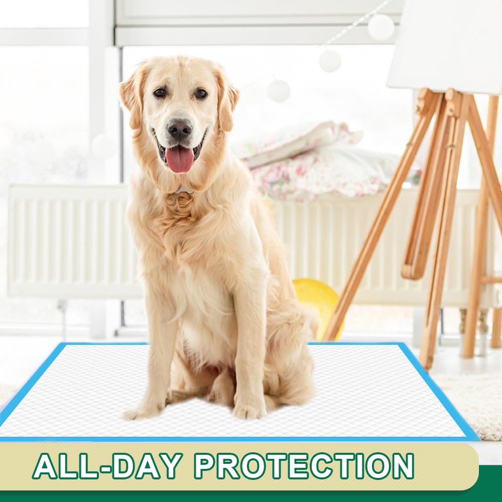 IMMCUTE pile de tapis 100 unités pratique pour foyers multi animaux