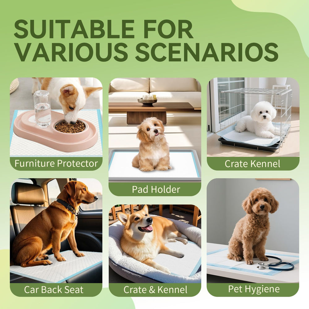 IMMCUTE tapis disposé dans un salon montrant protection mobilier