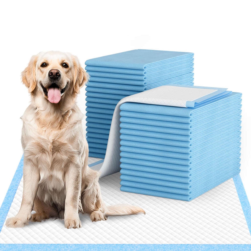 IMMCUTE tapis avant emballage montrant protection et praticité