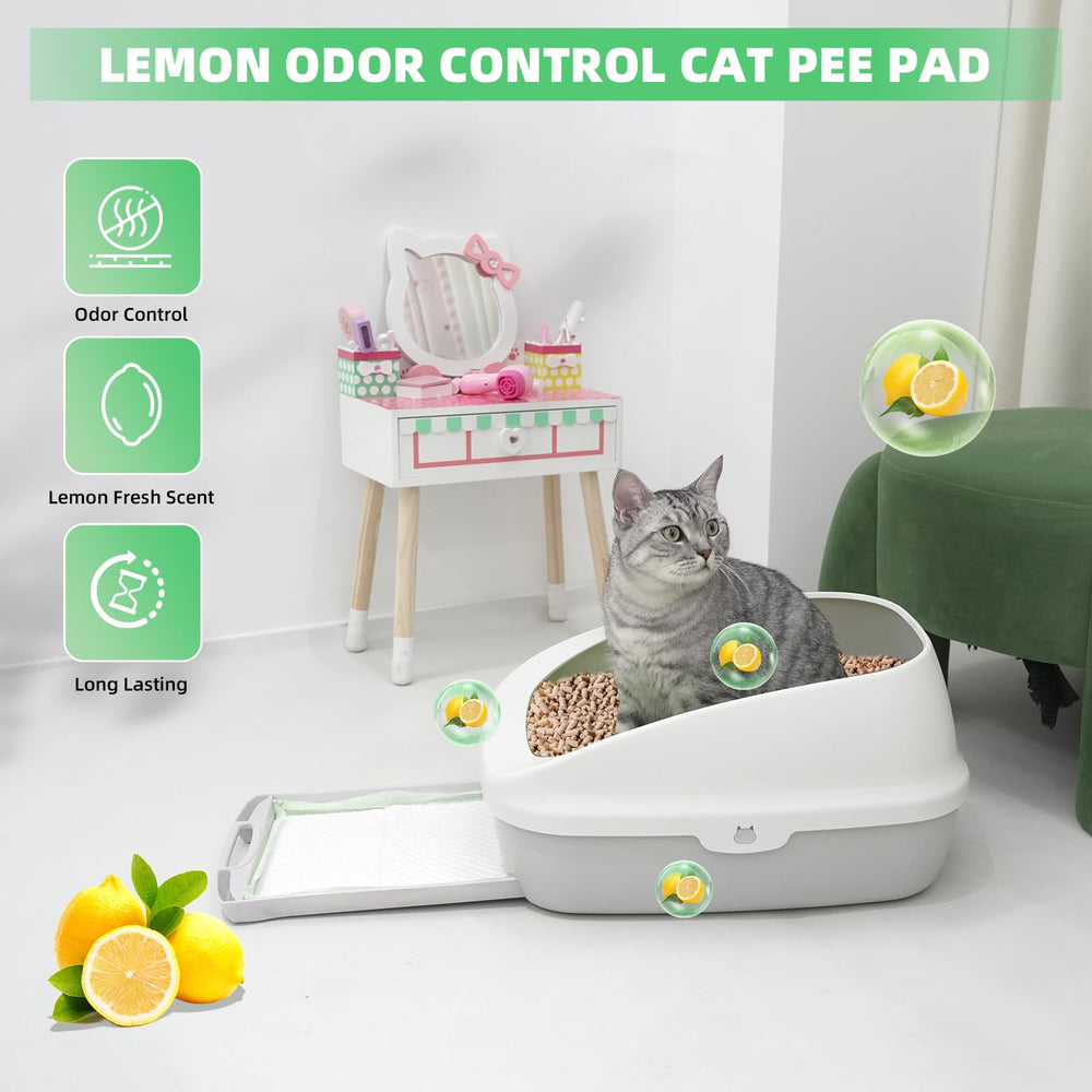 IMMCUTE coupe transversale montrant le cœur SAP très absorbant