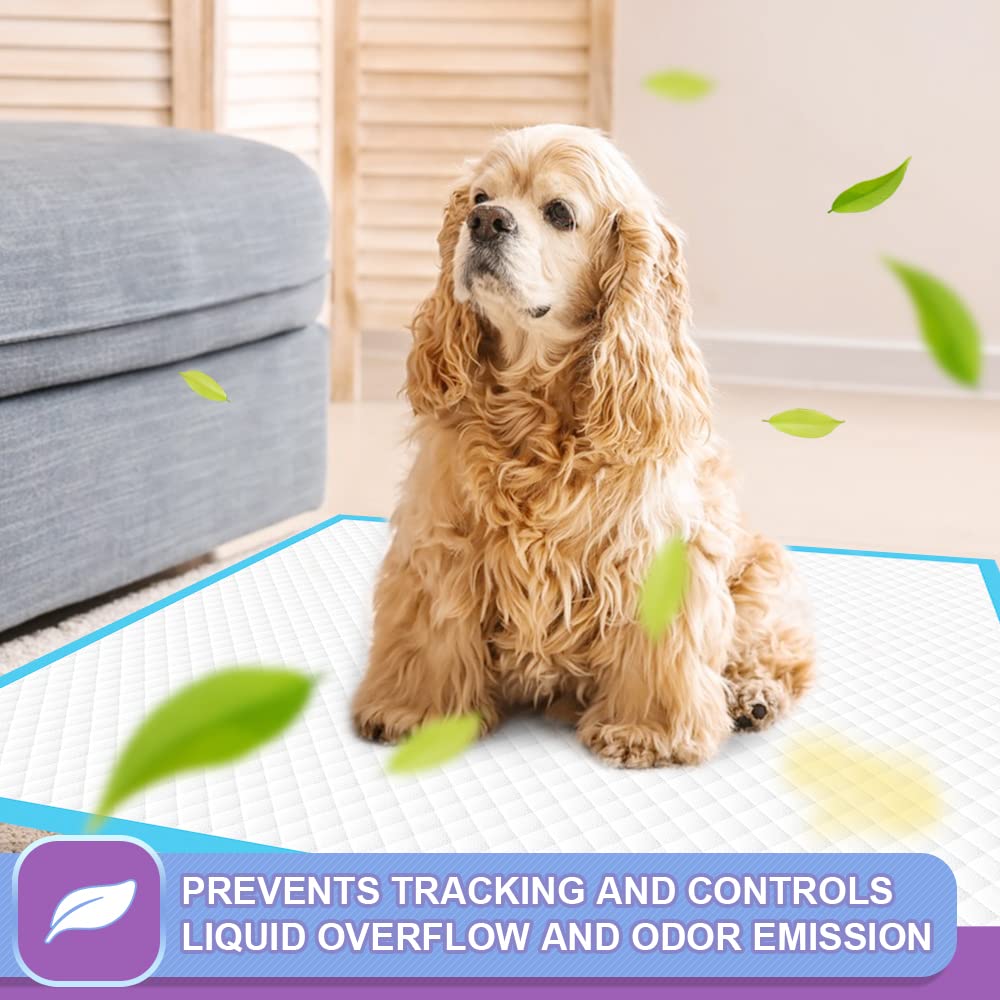 IMMCUTE tapis placé dans une caisse pour chiot, facilite apprentissage propreté