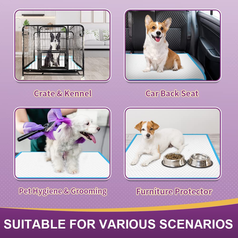 IMMCUTE tapis posé sur pelouse illustrant usage extérieur et facilité
