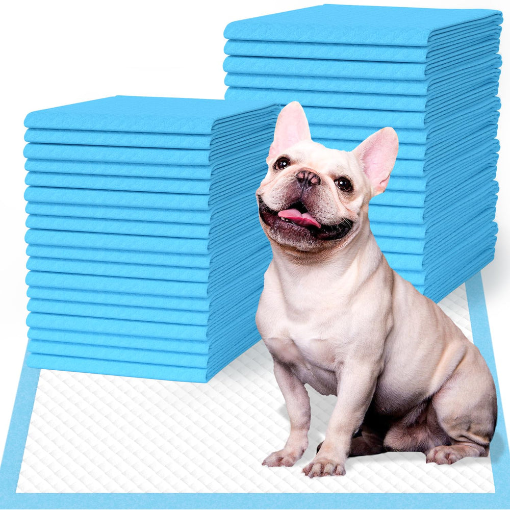 IMMCUTE tapis face avant montrant format pratique et protection rapide