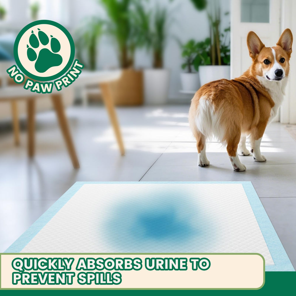 IMMCUTE tapis usagé avec gel absorbant, limite les odeurs