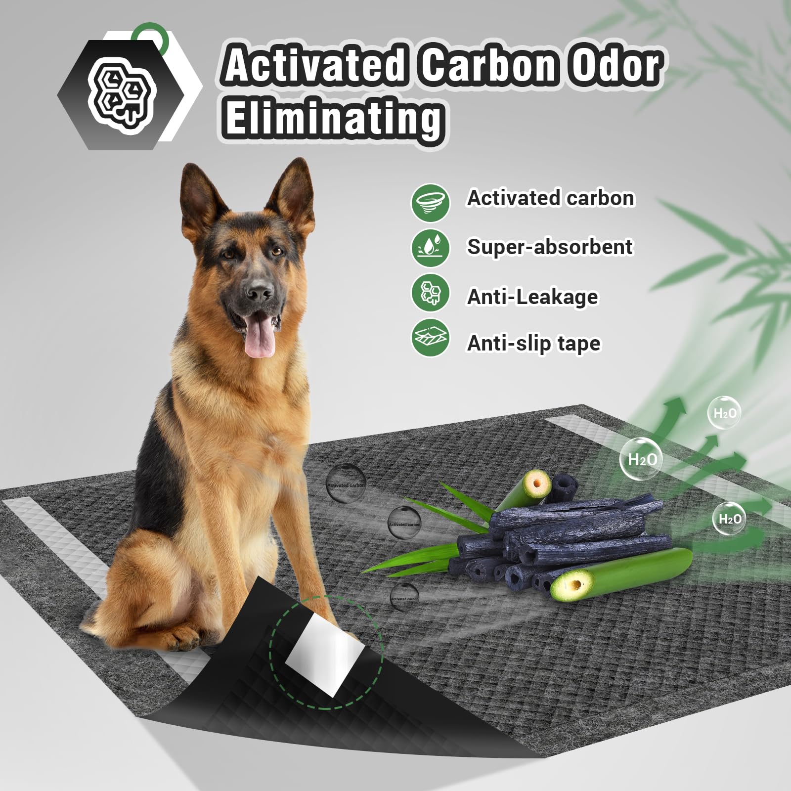 IMMCUTE plusieurs tapis disposés pour foyer multi-chiens, gestion pratique