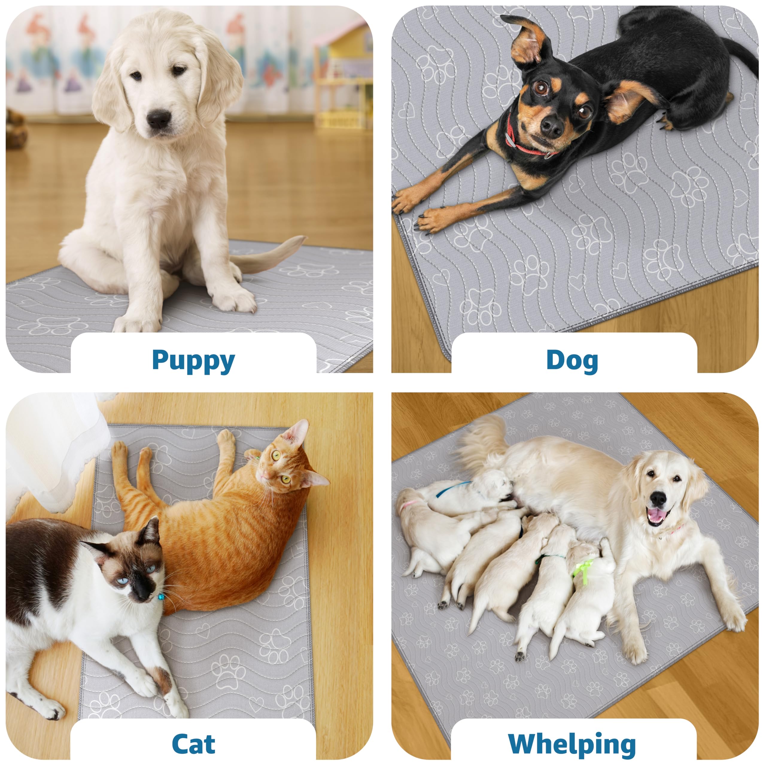 IMPROVIA chiot utilisant le tapis pour apprentissage propre