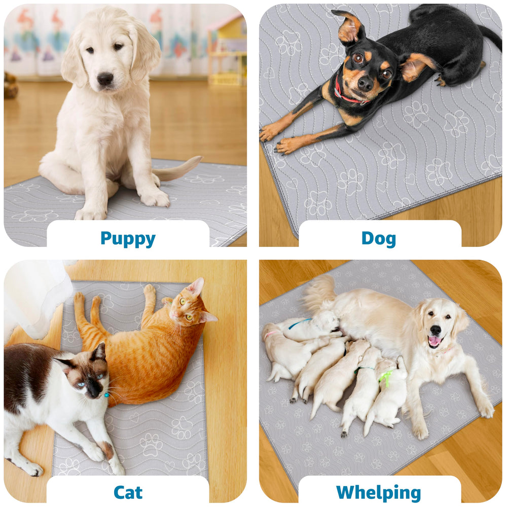 IMPROVIA chiot utilisant le tapis pour apprentissage propre
