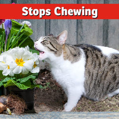 IMUSTGARDEN pulvérisation sur plante pour dissuader chiens et chats sans abîmer